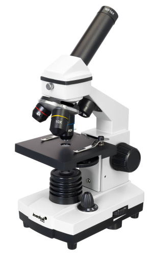 8d26ecb9-cf36-11ef-9d2e-000c29e1040d